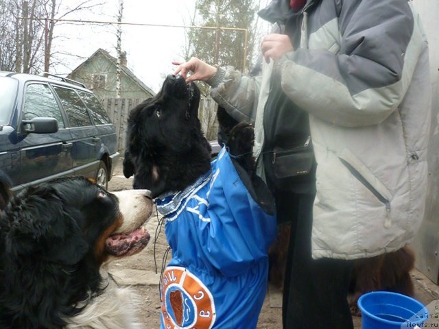 Фотография № 66204