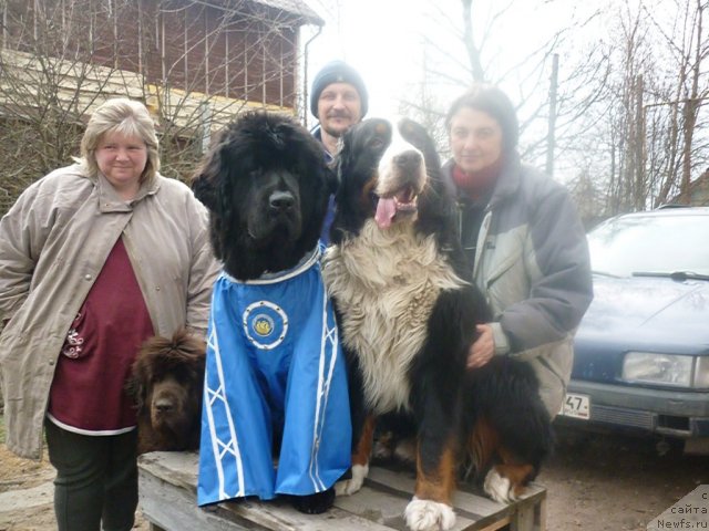 Фотография № 66206