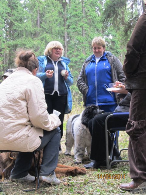 Фото: ньюфаундленд Super Bizon Ekaterinburg (Супер Бизон Екатеринбург), Svetlana Plotnikova (Светлана Плотникова), Ekaterina Plotnikova (Екатерина Плотникова)