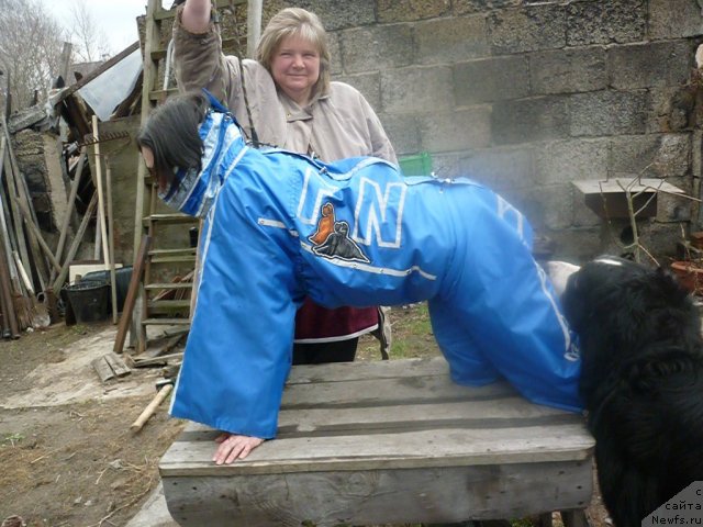 Фотография № 66213