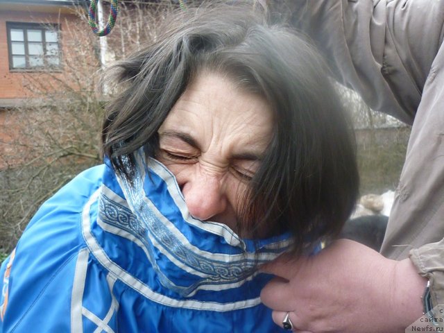 Фотография № 66237