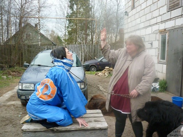 Фотография № 66239