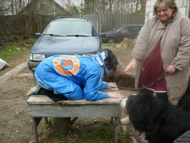 Фотография № 66242