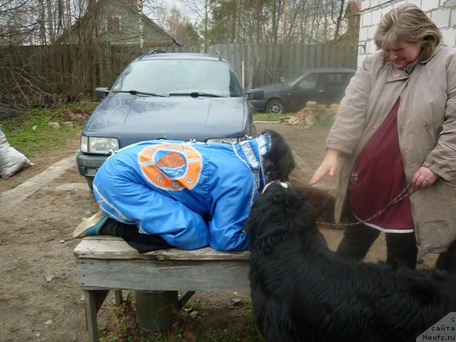 Фотография № 66243