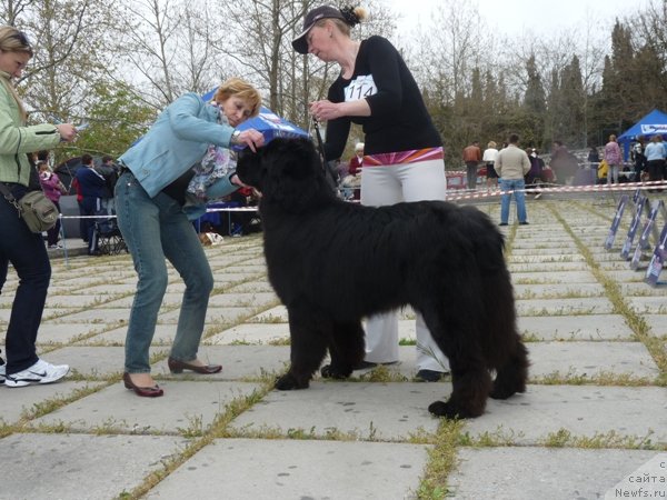 Фотография № 66289