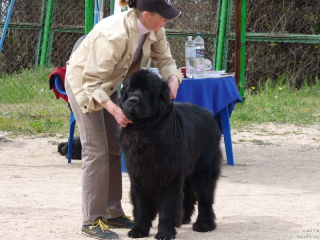 Фотография № 66290