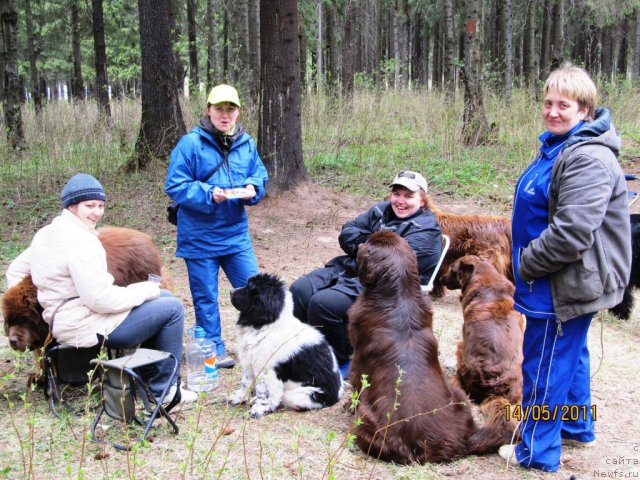 Фото: Irina Nistratova (Ирина Нистратова), Ekaterina Plotnikova (Екатерина Плотникова), Natal'ya Gostyuhina (Наталья Гостюхина), ньюфаундленд Koketka ot CHannel iz Medvej'ego YAra (Кокетка от Чаннел из Медвежьего Яра), ньюфаундленд Komandor iz Medvej'ego YAra (Командор из Медвежьего Яра), Маргошка, Svetlana Plotnikova (Светлана Плотникова), ньюфаундленд Super Bizon Ekaterinburg (Супер Бизон Екатеринбург)