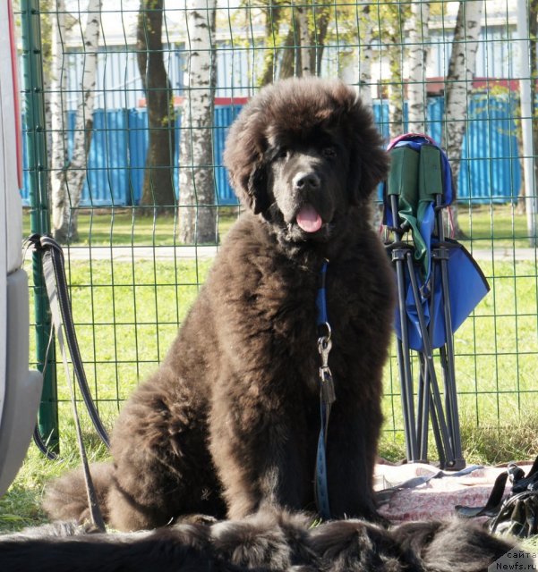 Фотография № 66353