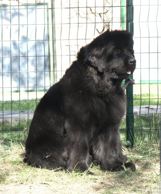 Фотография № 66356