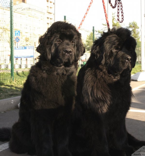 Фотография № 66365