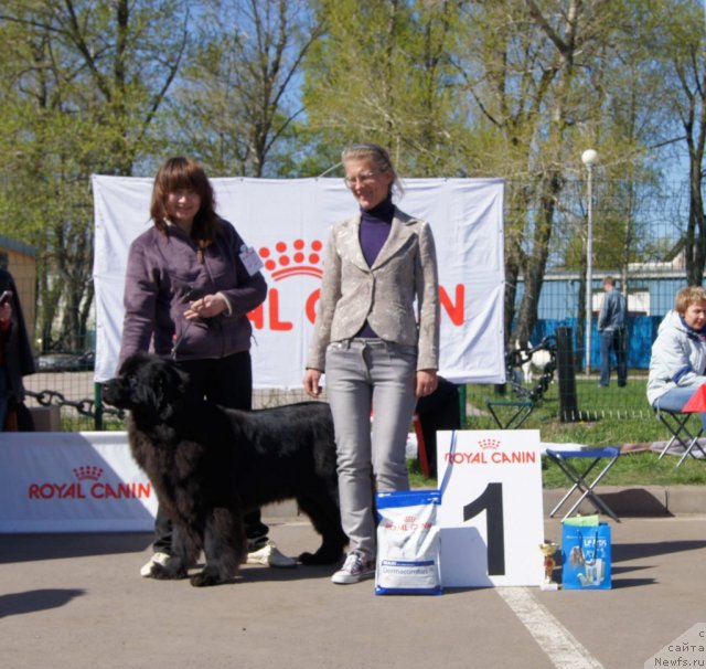 Фотография № 66368