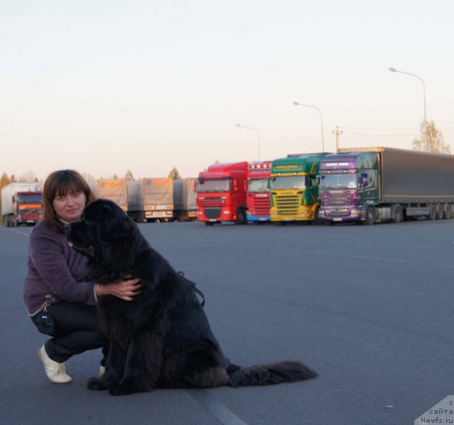 Фотография № 66370