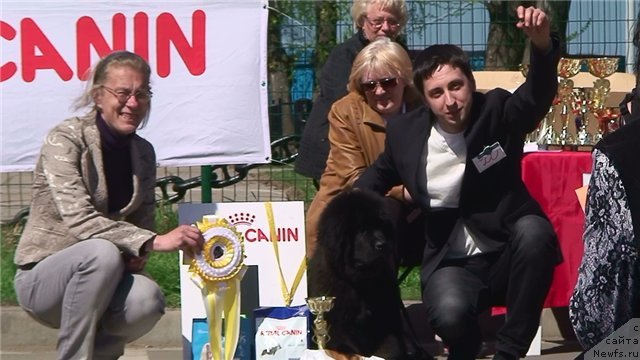 Фотография № 66378