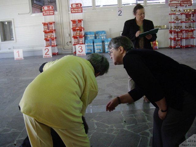 Фотография № 66380