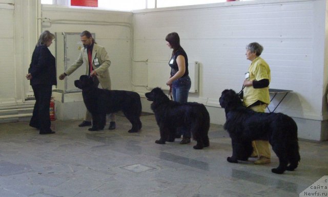 Фотография № 66382