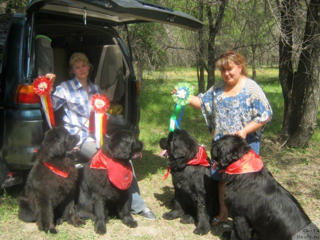 Фото: ньюфаундленд Dar'ya (Дарья), ньюфаундленд Sent Djons Ulla for Kara Ayular (Сент Джонс Улла для Кара Аюлар), ньюфаундленд Keeper Soul Esaul (Кипер Соул Есаул), ньюфаундленд Love Story iz Tihogo Omuta (Лав Стори из Тихого Омута), Farida Siryazeva (Фарида Сирязева), Elena Syisa (Savina) (Елена Сыса (Савина))