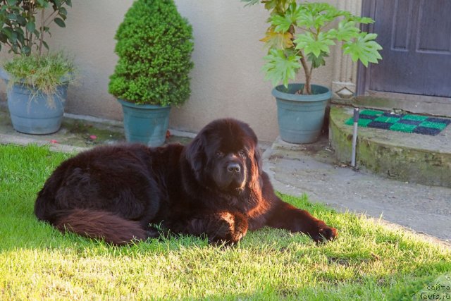 Фотография № 66529