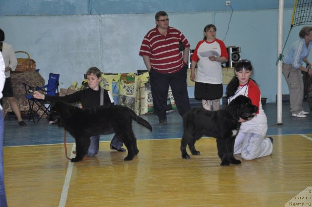 Фотография № 66548