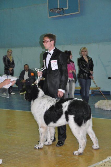 Фотография № 66549