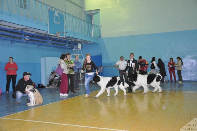 Фотография № 66551