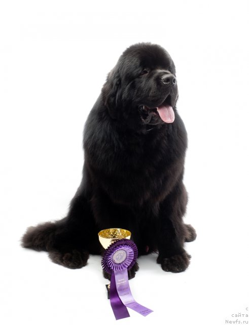 Фотография № 66553