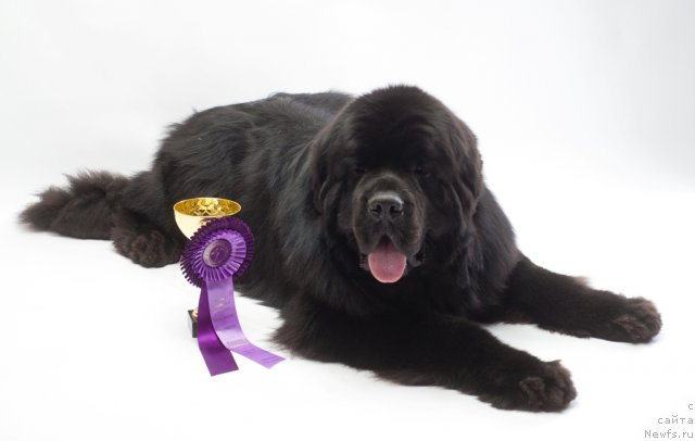 Фотография № 66554