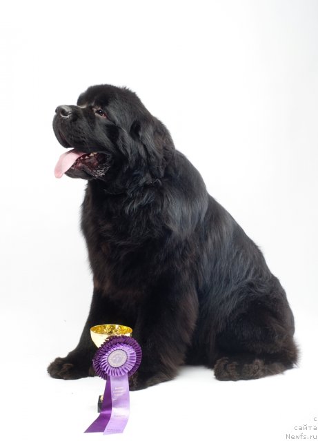 Фотография № 66555