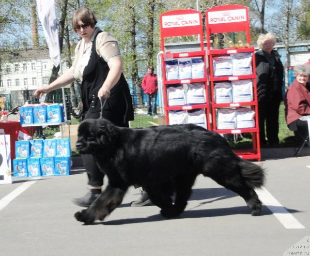 Фотография № 66580