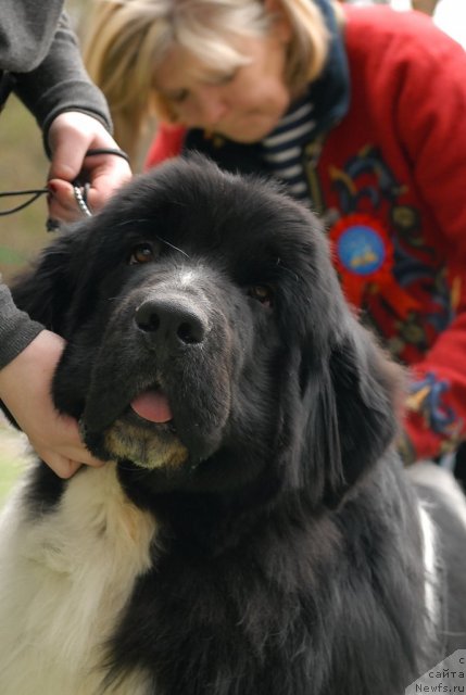 Фотография № 66586