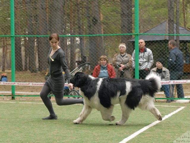 Фотография № 66592