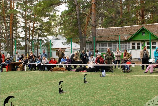 Фотография № 66593