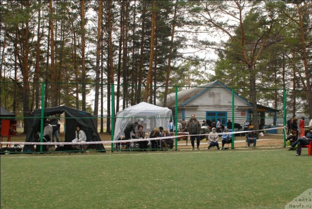 Фотография № 66594