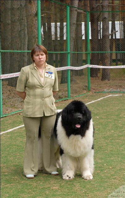 Фотография № 66596