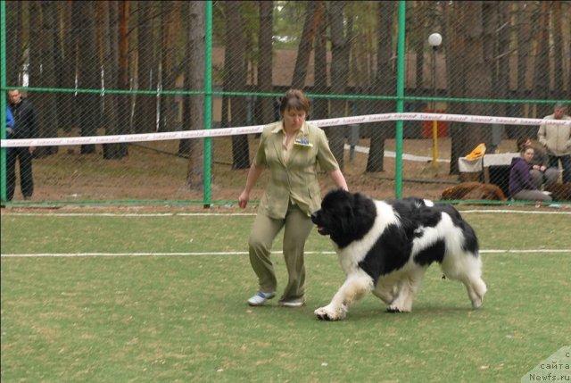 Фотография № 66609