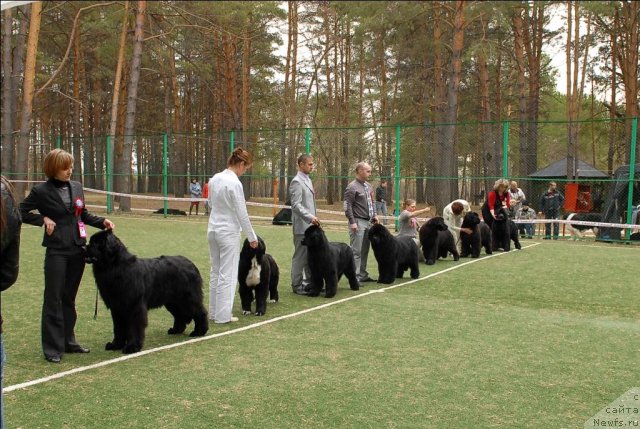 Фотография № 66638