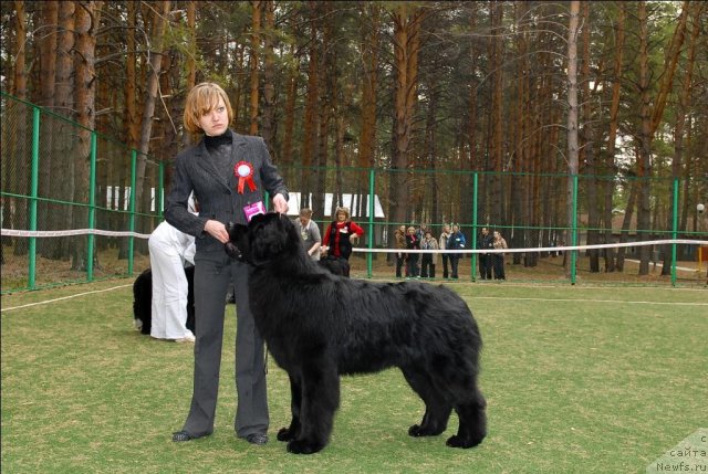 Фотография № 66645