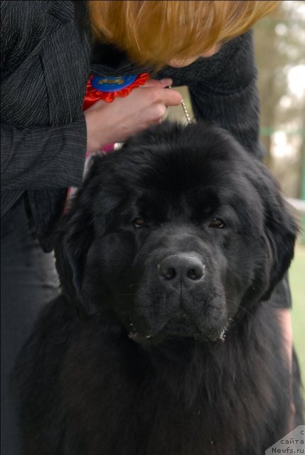 Фотография № 66653