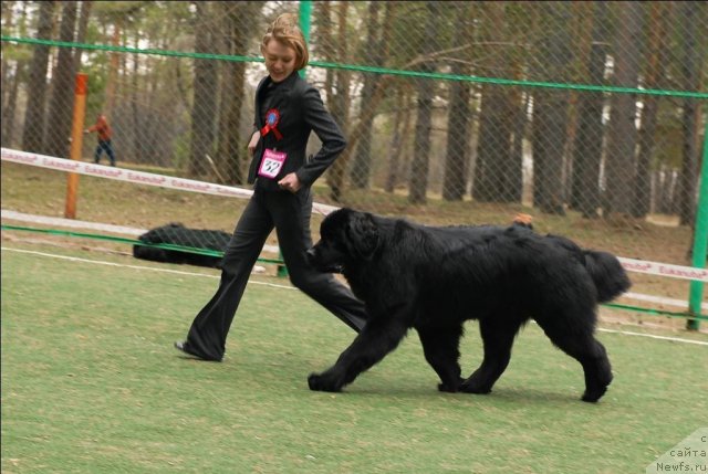 Фотография № 66658