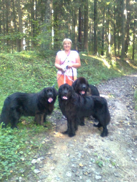 Фото: ньюфаундленд Zhanna D'Ark Peyv Black (Жанна Д'Арк Пэйв Блэк), ньюфаундленд Norkros Vasco da Gama, Irma SHpanagelene (Ирма Шпанагелене)