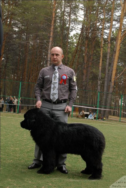 Фотография № 66689