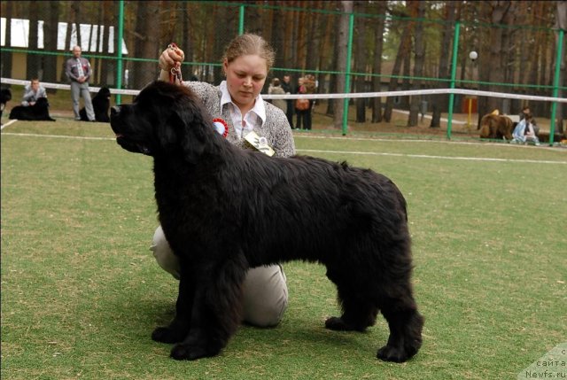 Фотография № 66693