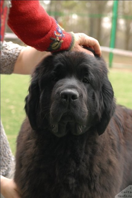 Фотография № 66696