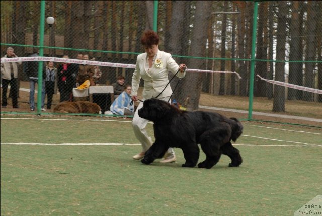 Фотография № 66710