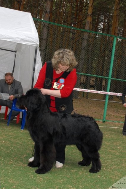 Фотография № 66712