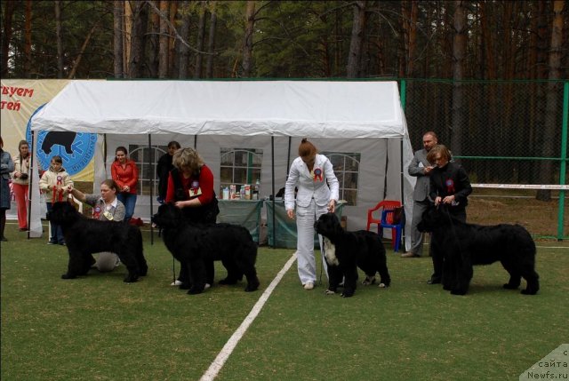 Фотография № 66714