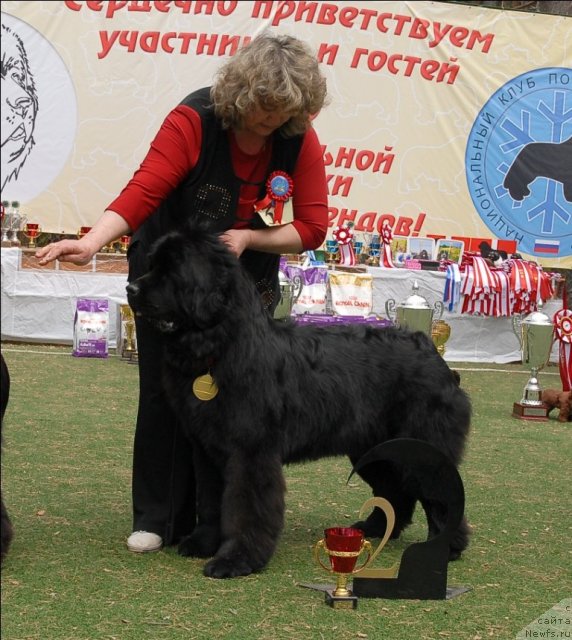 Фотография № 66717