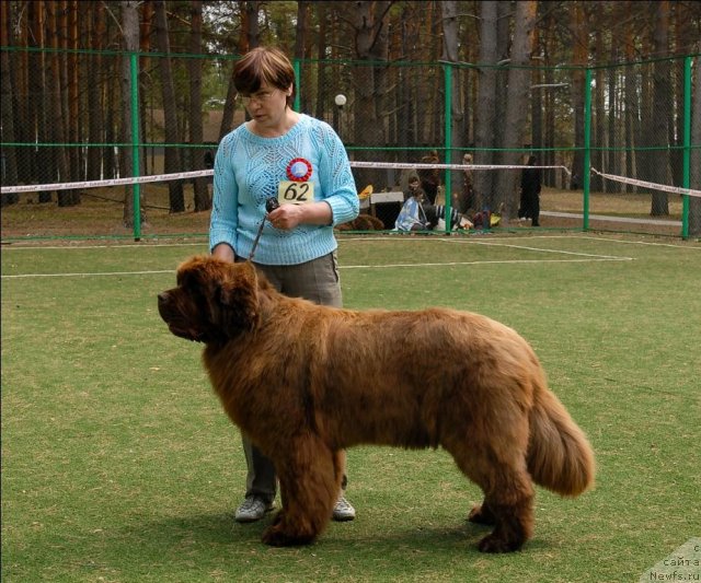 Фотография № 66719