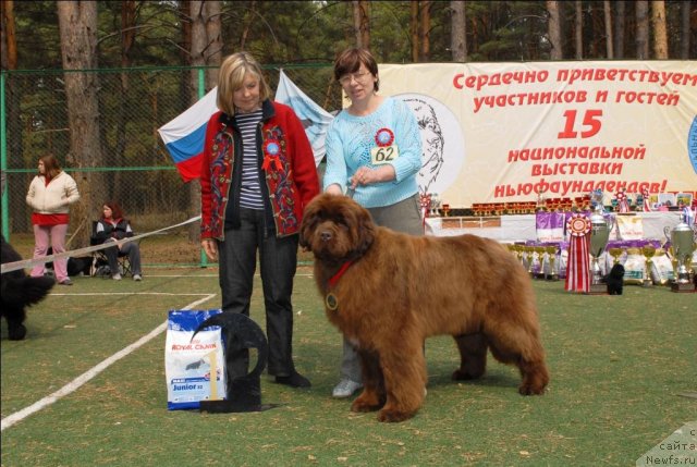 Фотография № 66725