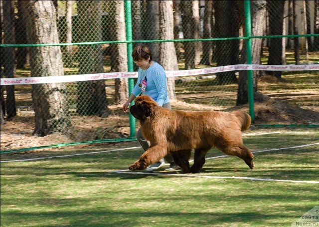 Фотография № 66726