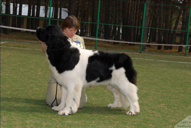 Фотография № 66732